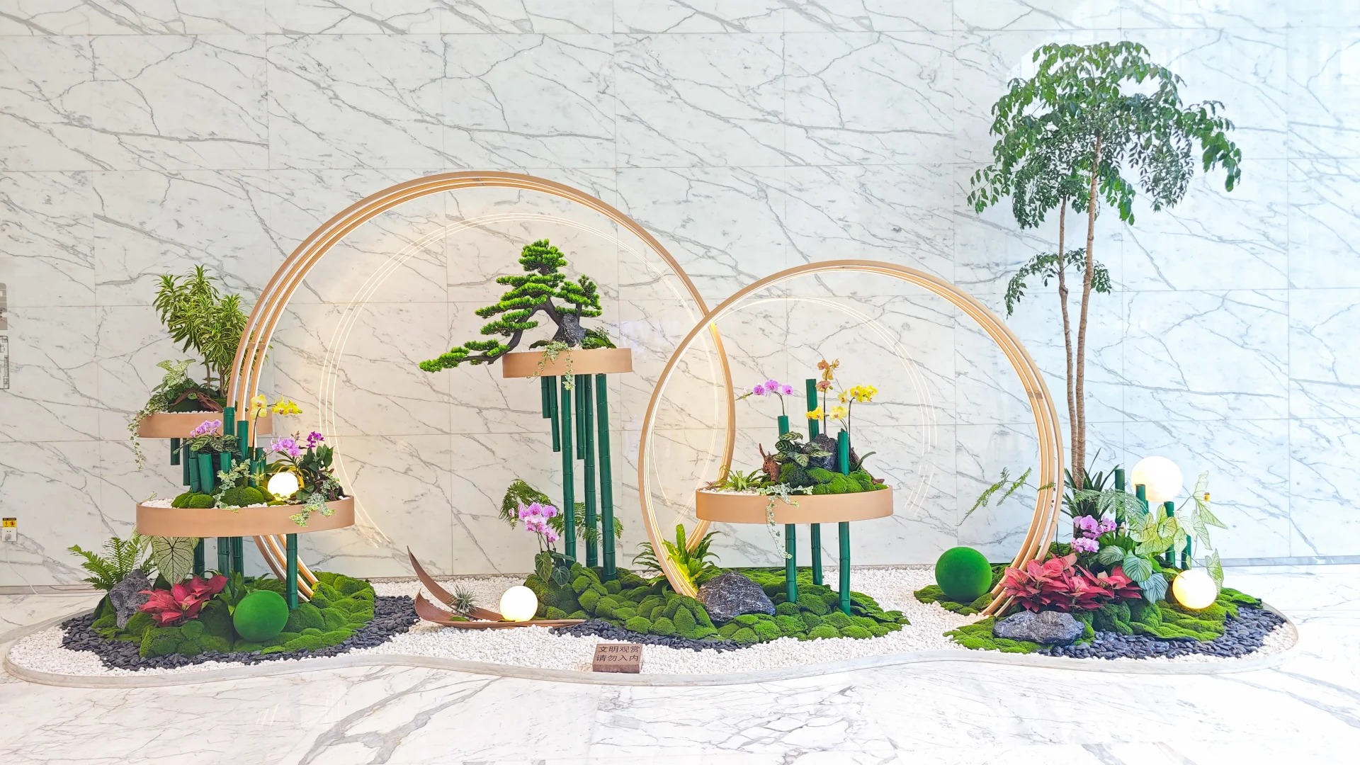 专业花木租赁在宁波，为您营造清新环境