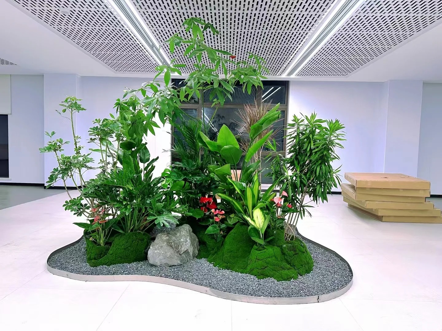 专业花木租赁在宁波，为您营造清新环境